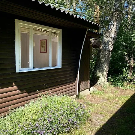 On Natural Plot Near Gudmindrup * Hojby