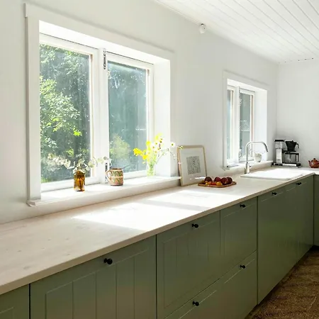 On Natural Plot Near Gudmindrup Højby