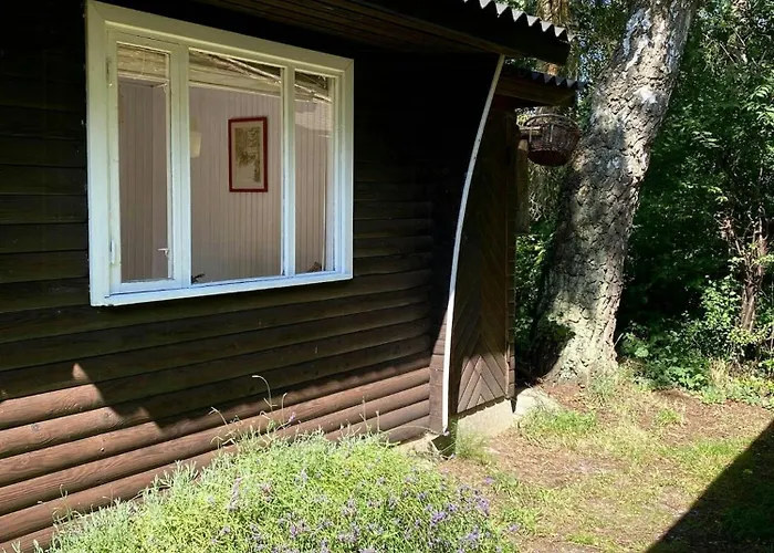 On Natural Plot Near Gudmindrup *